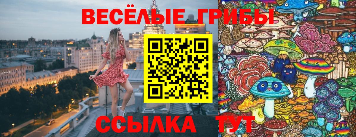 Псилоцибиновые грибы GOLDEN TEACHER  Псилоцибиновые грибы прущие грибы  Михайловка  Вход с VPN 